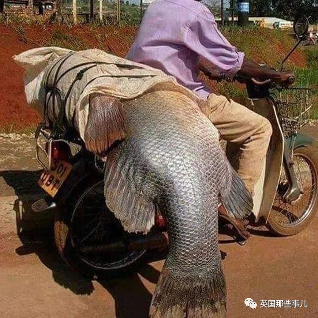 娣辨捣鎬奔缇庨,娣辨捣鎬奔鍒朵綔