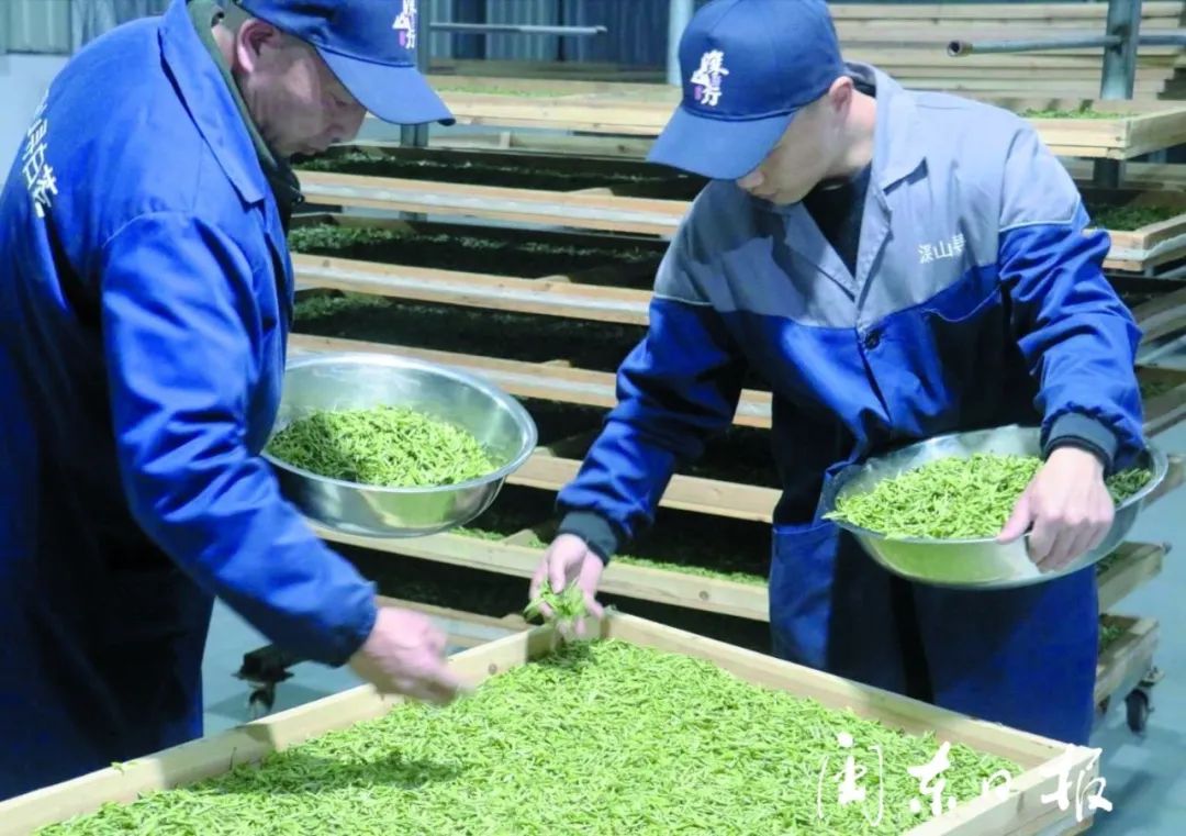 管阳镇挖出“土特产”，各个都是商机！