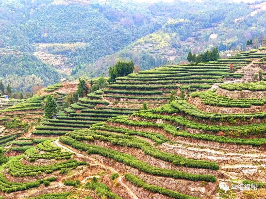 管阳镇挖出“土特产”，各个都是商机！