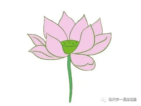 荷花和荷叶简笔画怎么画慢视频,荷花手抄报简单又漂亮简笔画