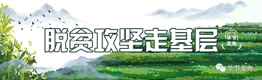 扶贫走出大山视频,脱贫致富大步向前走