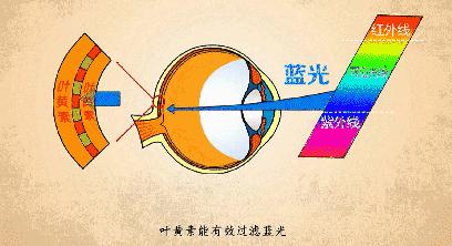 日本眼疲劳干涩护眼液,护眼蓝光过滤器