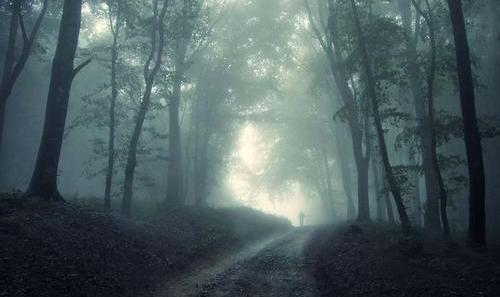 拍案惊奇十条命案,拍案惊奇湖中女尸完整版