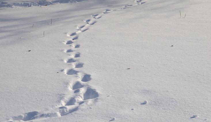 拍案惊奇十条命案,拍案惊奇湖中女尸完整版
