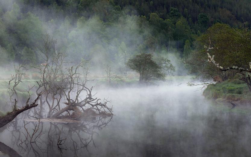 拍案惊奇十条命案,拍案惊奇湖中女尸完整版