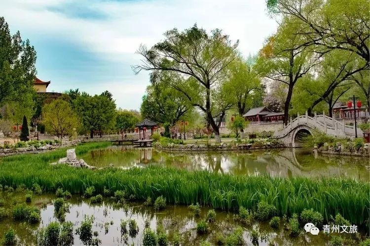 李清照在青州的时光,李清照笔下的青州