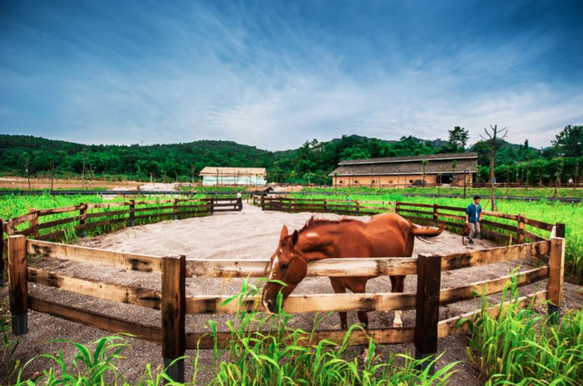 限时抢购||499元抢住浮生御度假村温泉住宿超值套餐