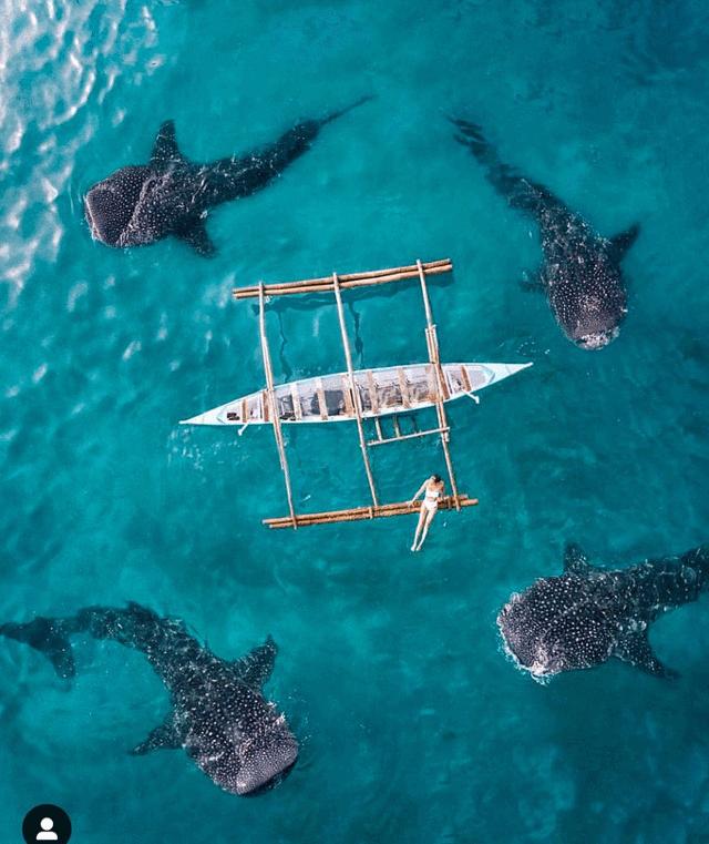 薄荷岛宿务攻略,宿务薄荷岛旅游怎么样