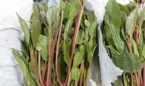 警察突访工厂食堂加油,警察突访食堂给员工加了一道硬菜