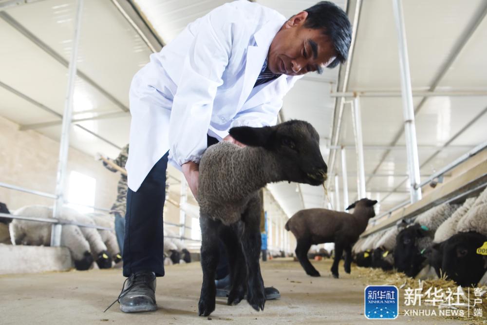 记者手记,记者手记脱贫攻坚