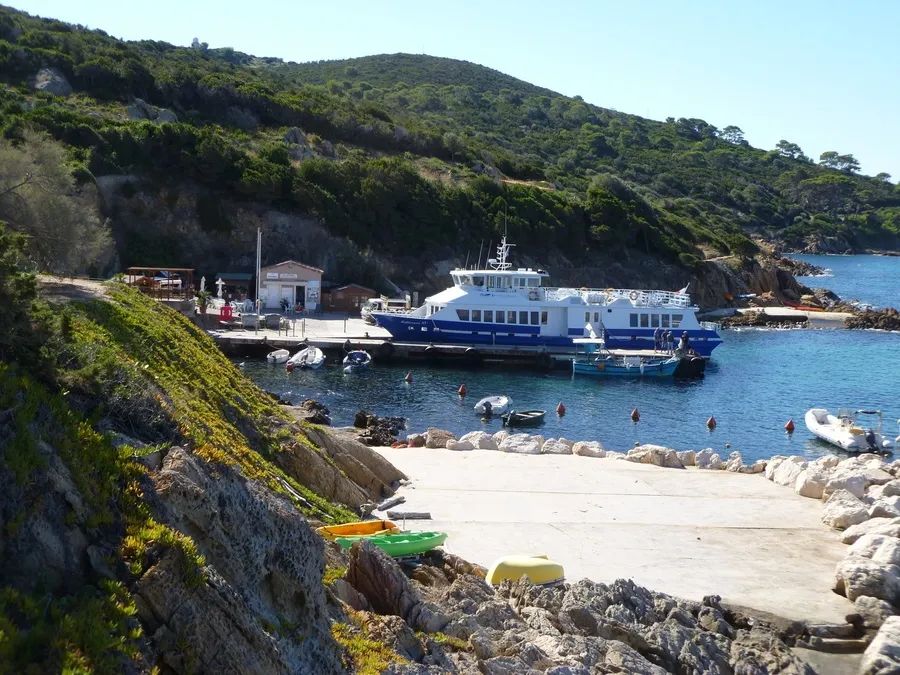 「趣闻」天堂隔离点！这个法国小岛零新冠，而且它还有个特点