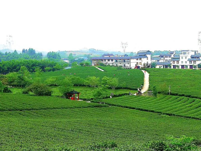 嗨森团购套餐,南宁多家景区门票五折