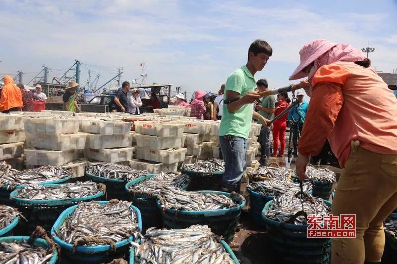 福建的禁渔期是几月到几月,福建2018休渔期几月几日开始