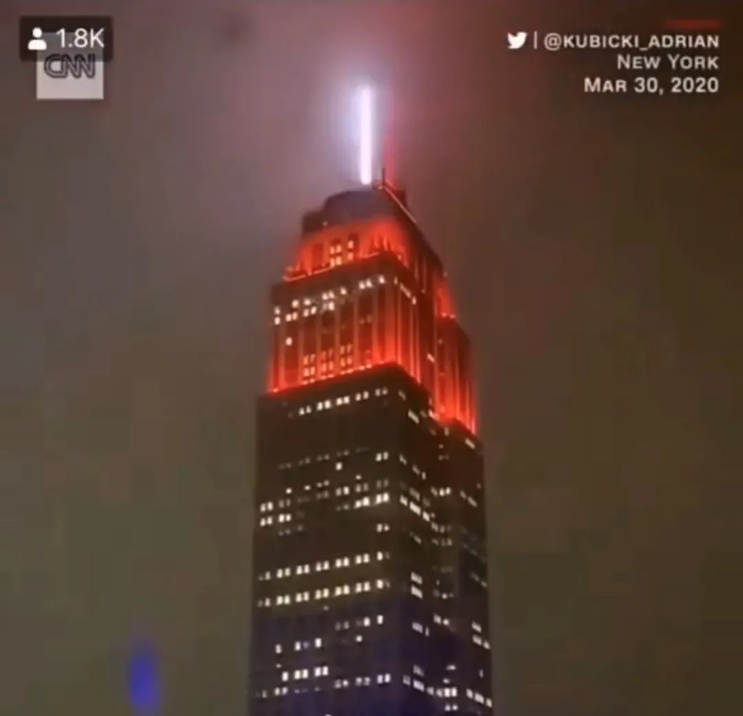 疫情下的美国日记丨陈丽华：加州四月槐花香