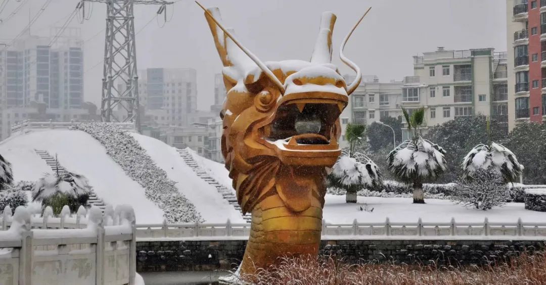 点击查看你的真实段位