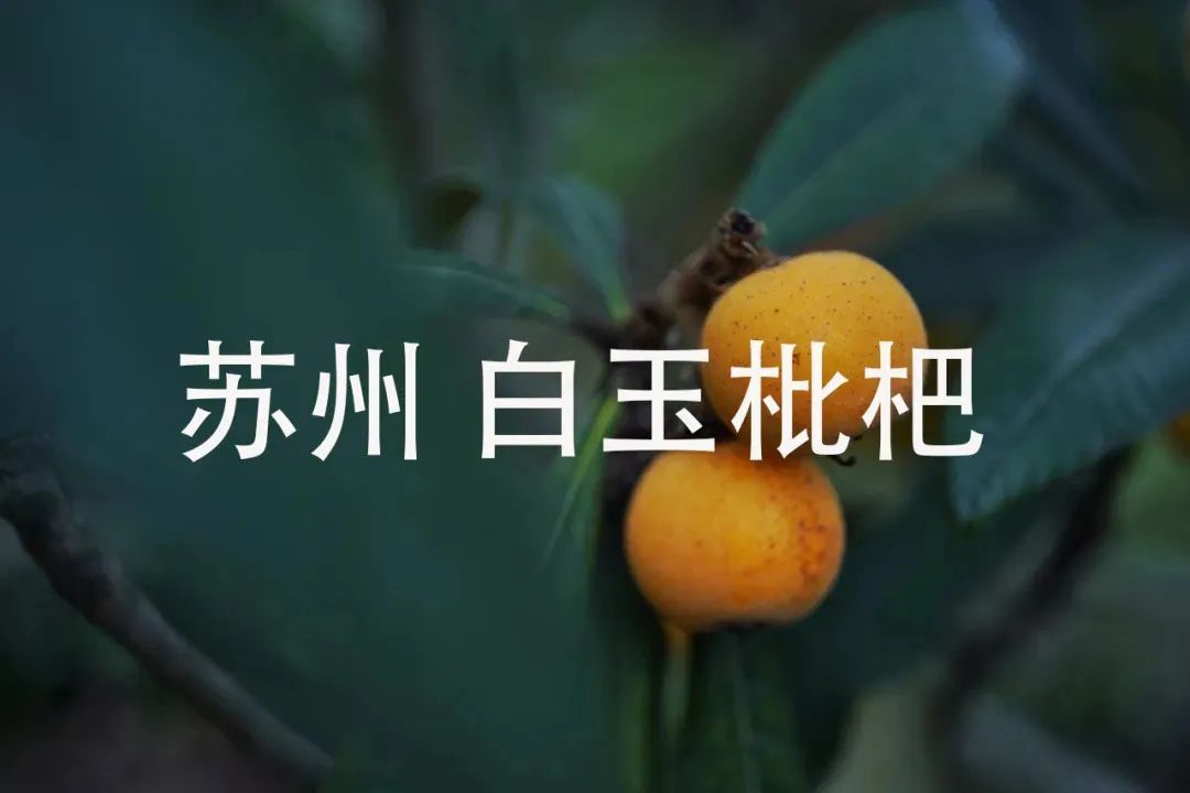 电饭锅芝士蛋糕最简单的做法,教你做现在超火的芝士蛋糕