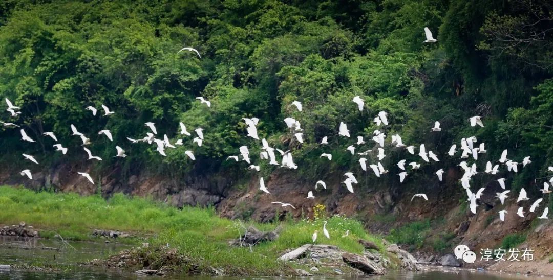 最惊艳的千岛湖,美丽壮观的千岛湖