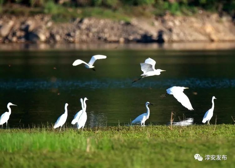 最惊艳的千岛湖,美丽壮观的千岛湖