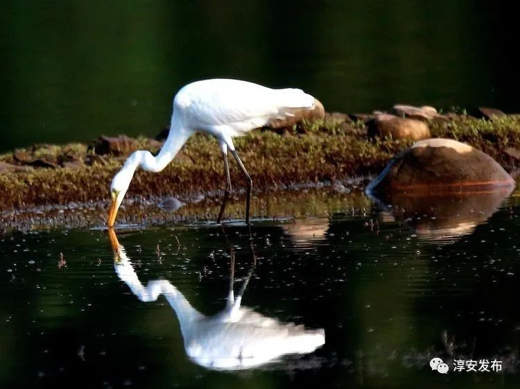最惊艳的千岛湖,美丽壮观的千岛湖