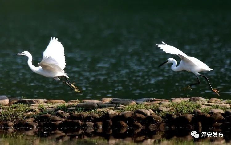 最惊艳的千岛湖,美丽壮观的千岛湖