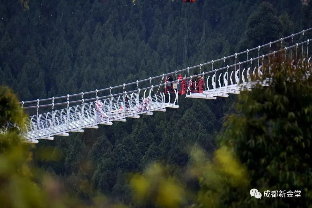 成都一日游打卡必备,成都网红打卡景点一日游