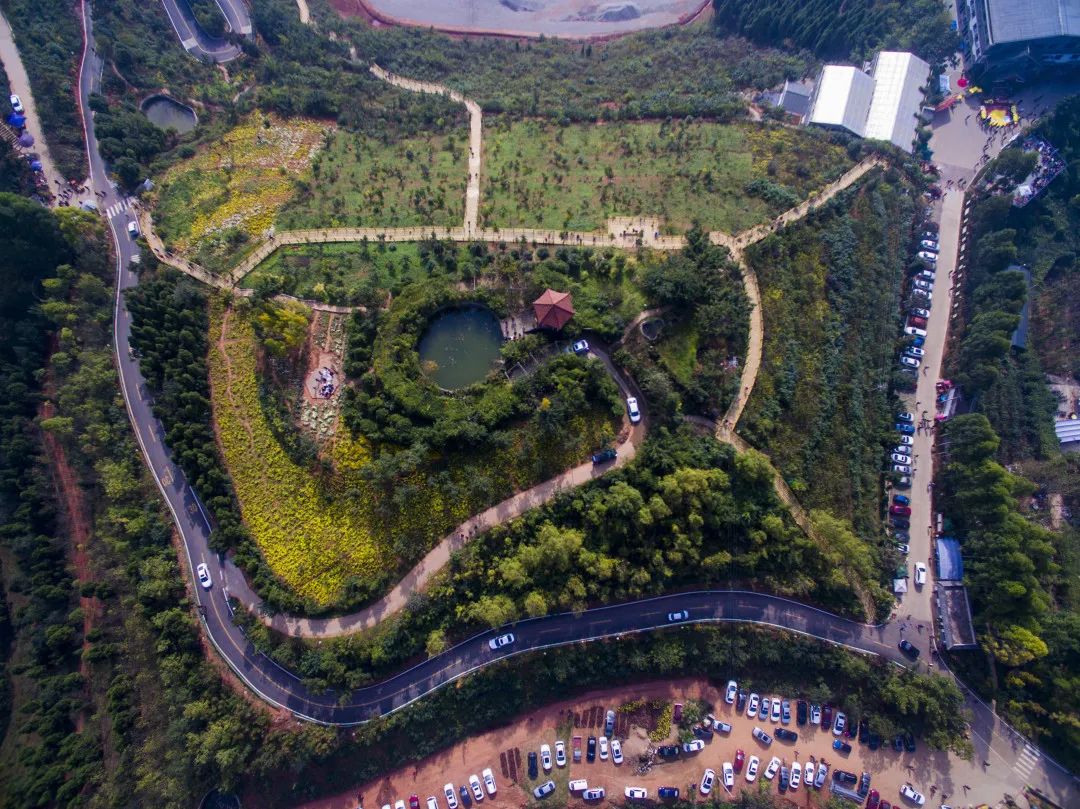 成都一日游打卡必备,成都网红打卡景点一日游