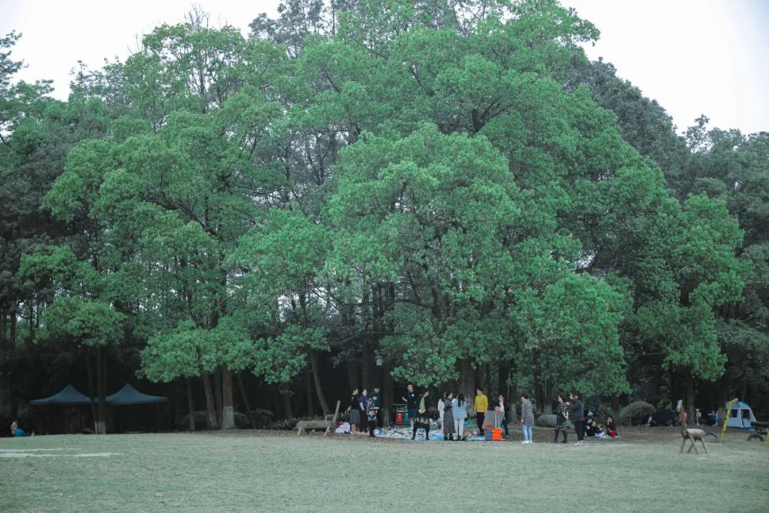 成都一日游打卡必备,成都网红打卡景点一日游
