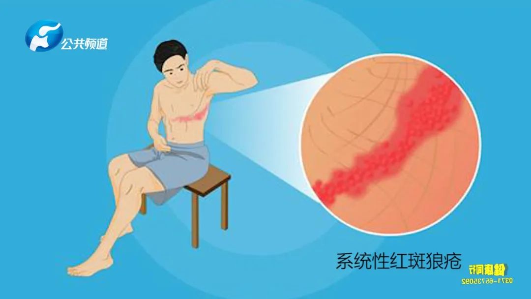 河南电视台健康同行,河南公共频道健康同行