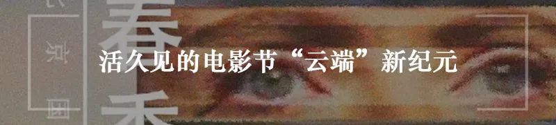 视频文件格式解读,视频格式最实用