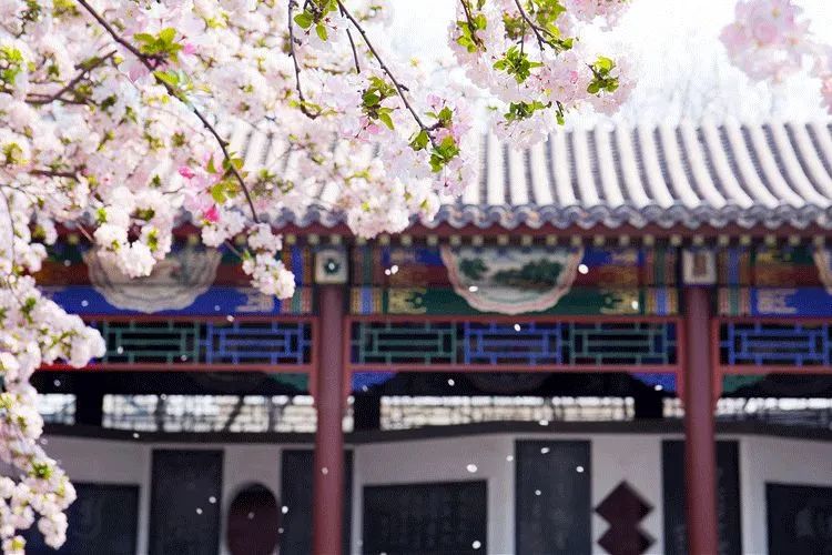 开怀一笑去掉烦恼,开怀一笑无烦恼顺口溜