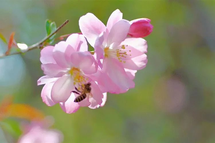 开怀一笑去掉烦恼,开怀一笑无烦恼顺口溜