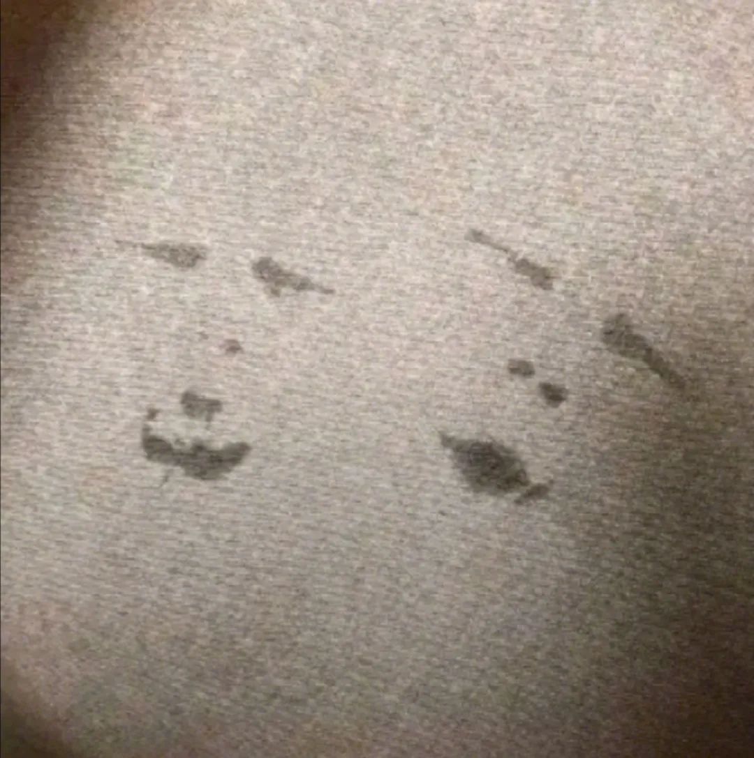 淘宝名字可以随便取吗,不能随便取的淘宝名