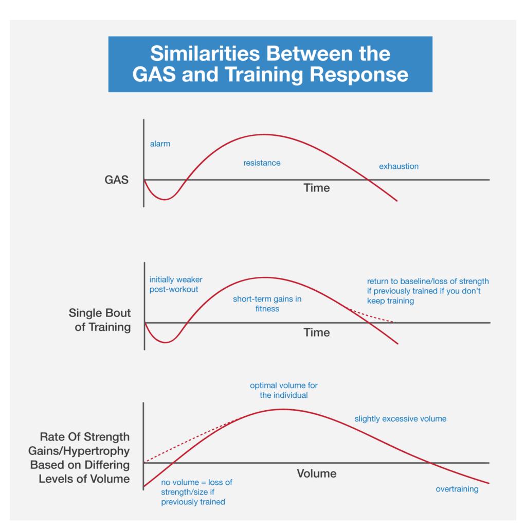 周期训练理论与方法,历史周期理论