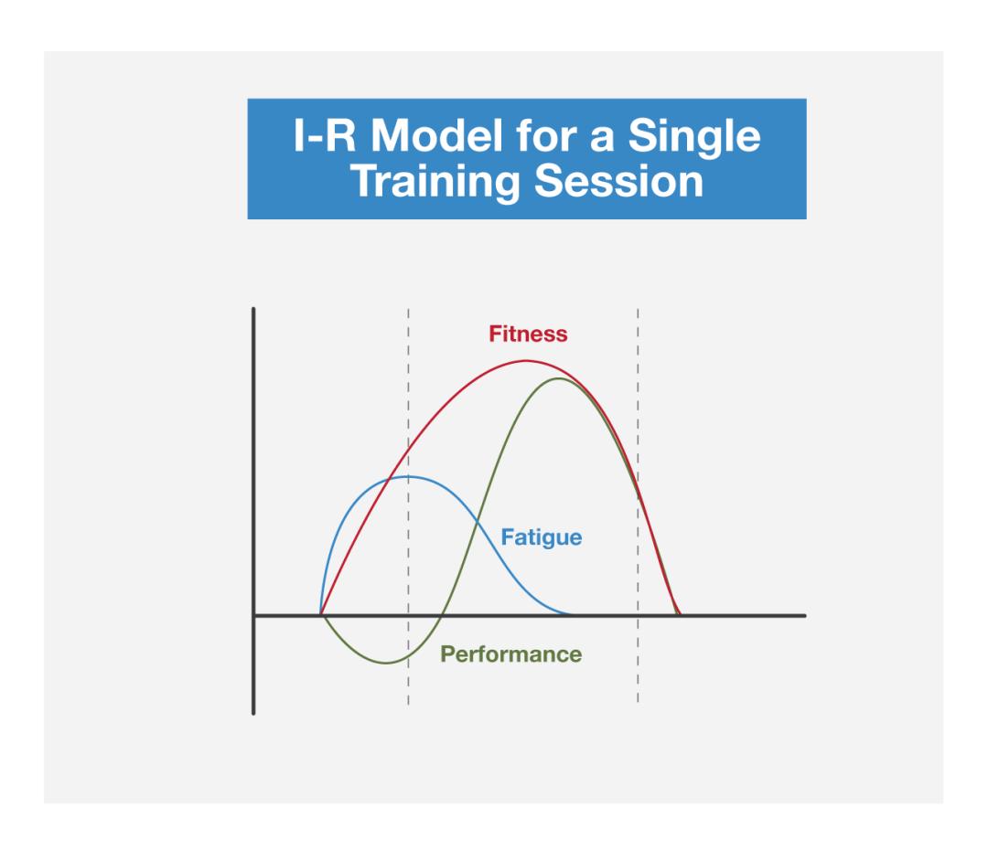 周期训练理论与方法,历史周期理论