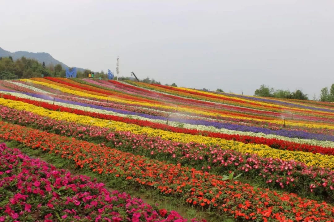重庆避开人群攻略,重庆周边小众旅游线路