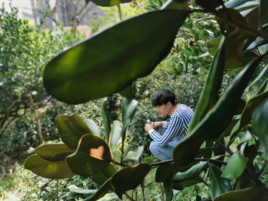 地下器官移植交易调查：买肾人花55万，卖肾人只得4.5万