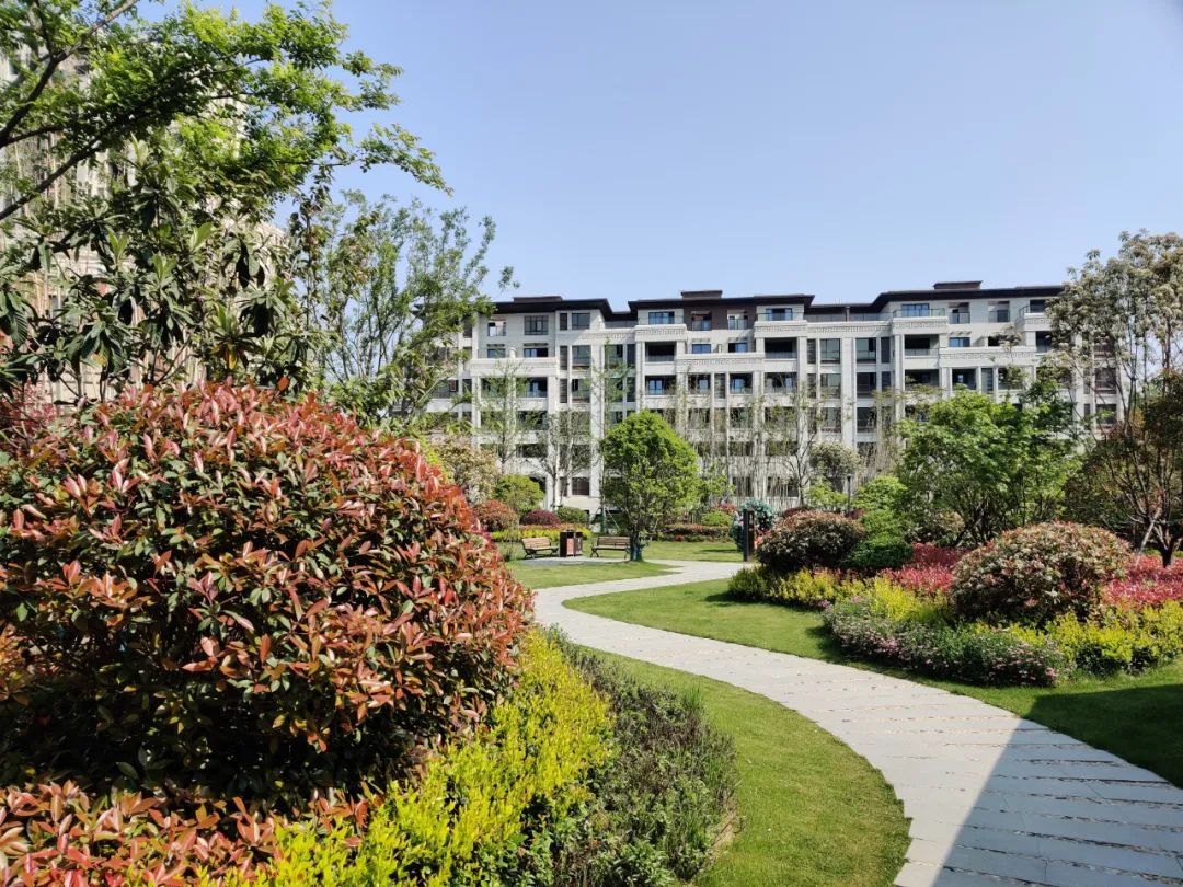 滨江新城二期最新规划,滨江商务区拆迁新消息