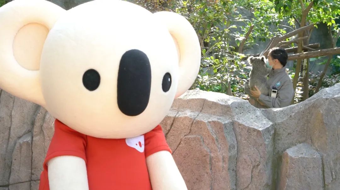 考拉进入城市,考拉加入美团