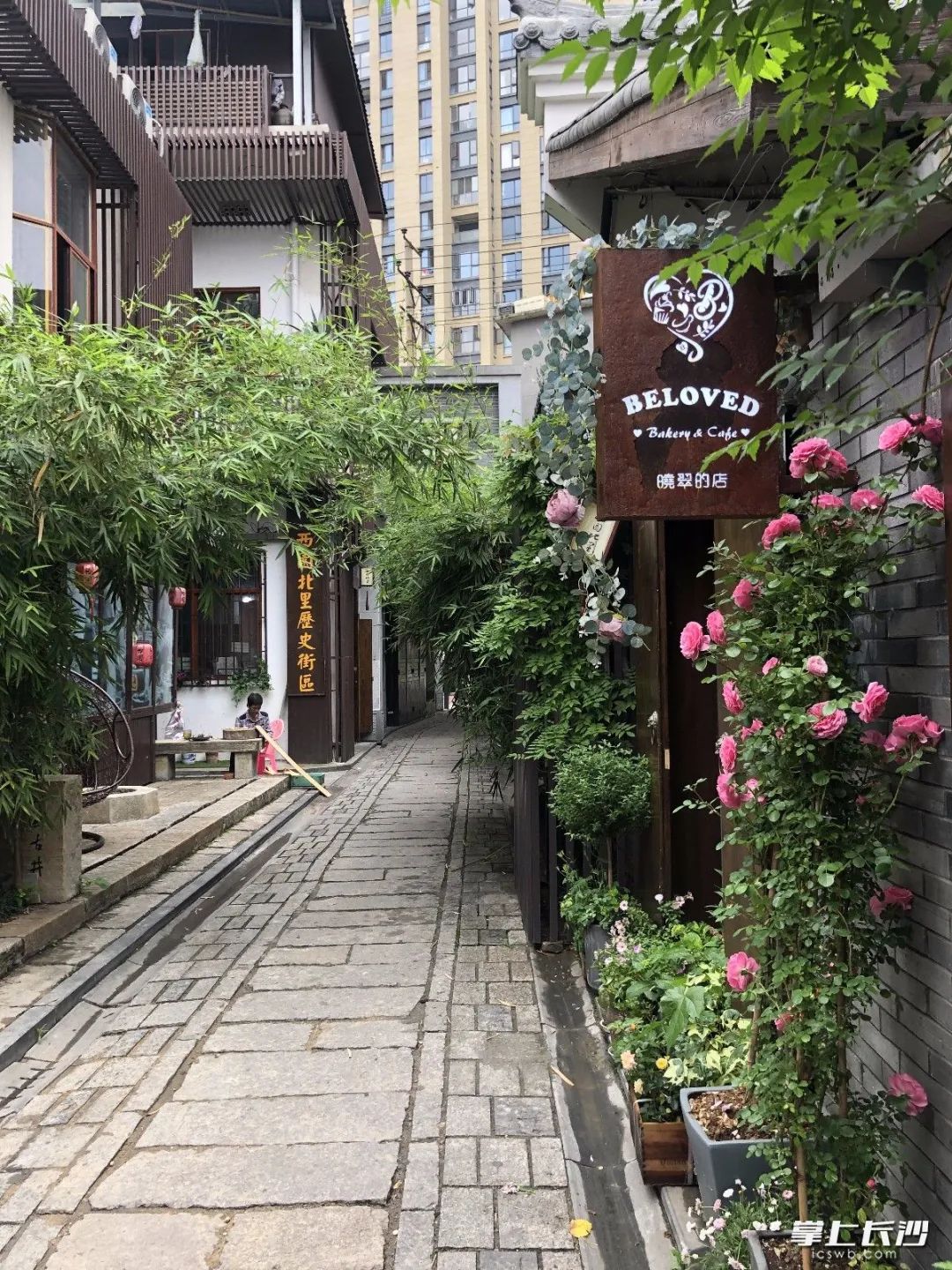 何立伟：收拾金瓯一片——开福老城区记游