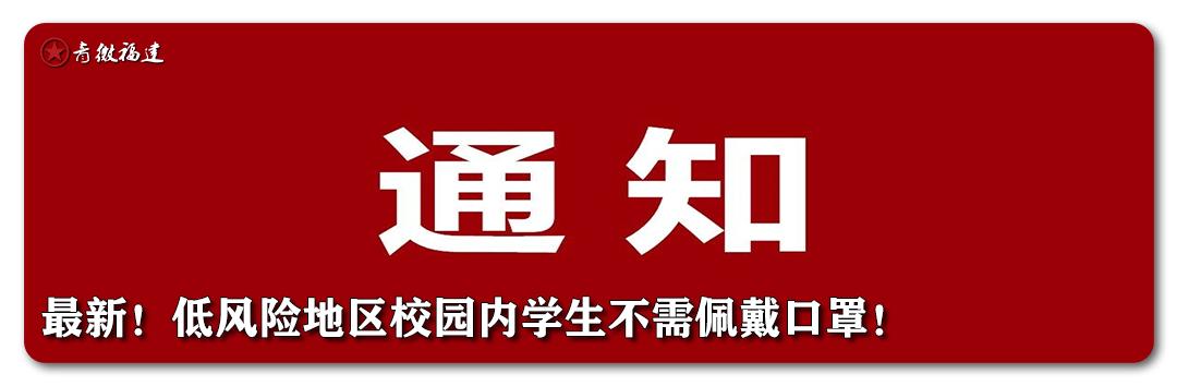 红领巾和队徽的使用场合,红领巾队徽由哪些要素组成