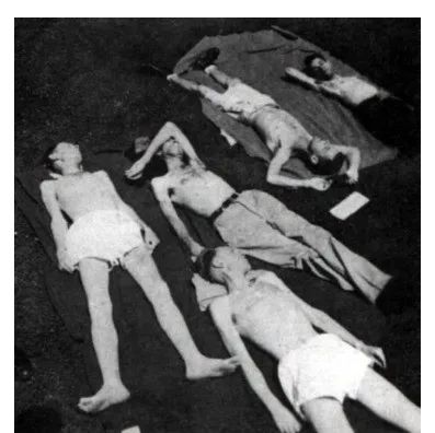 节食减肥饥荒效应,节食减肥饥荒