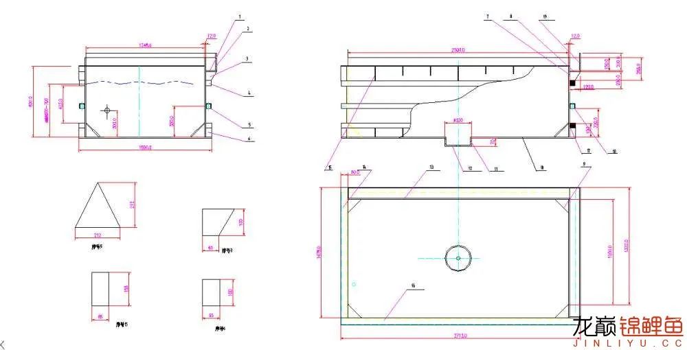 迷上鲤鱼精，露台安家2.5立方锦鲤池，生活设施一应俱全