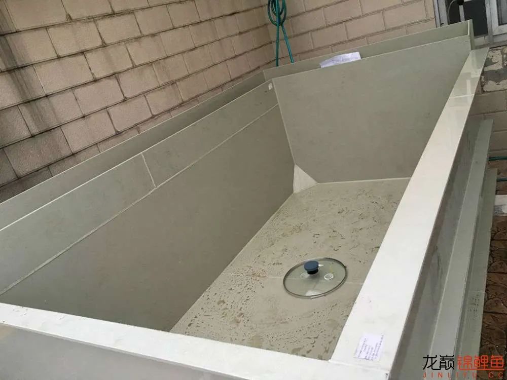 迷上鲤鱼精，露台安家2.5立方锦鲤池，生活设施一应俱全