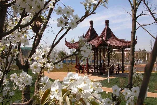 突然好想你广州大学,突然想你昆明理工