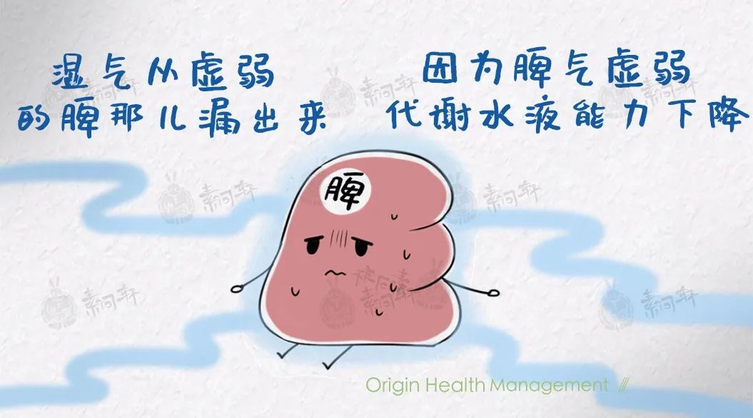红豆薏米祛湿气真有效吗,红豆薏米去湿气推荐