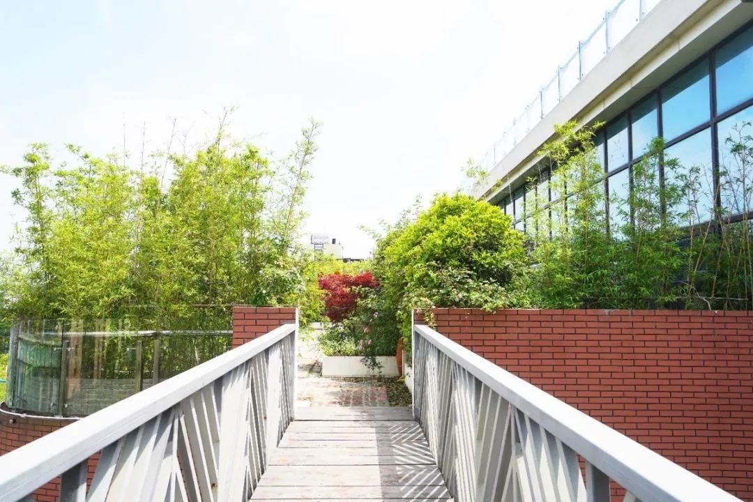 上海迪士尼免费6日游,上海迪士尼乐园中午入园门票