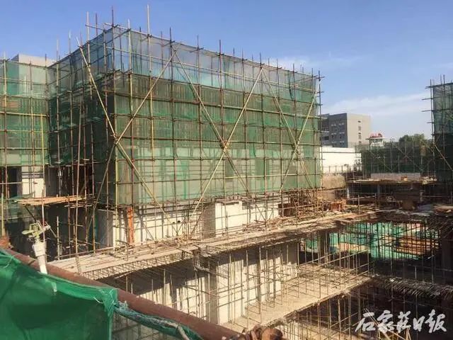 第一批52名涉黑涉恶在逃人员名单,警方通缉10名涉黑恶案件在逃人员