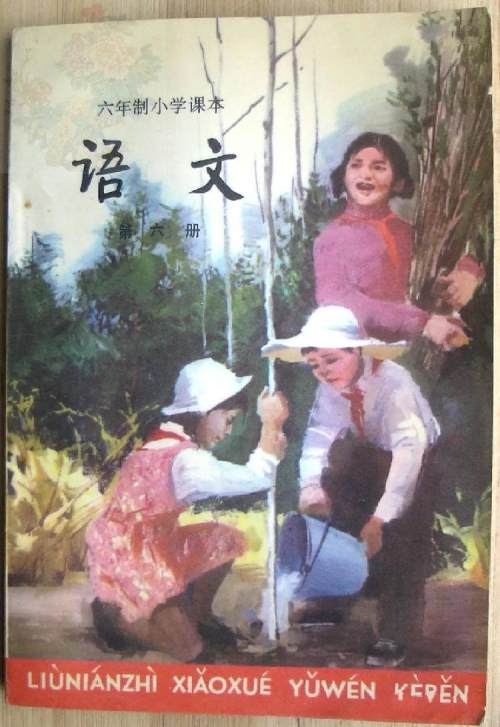 鑸屽皷涓婄殑璇枃缇庨,璇枃璇炬湰缇庨