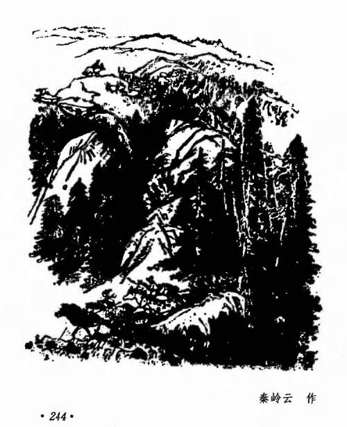 鑸屽皷涓婄殑璇枃缇庨,璇枃璇炬湰缇庨