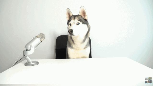 撕去“软色情”标签，ASMR能否成为“声音经济”新成员？